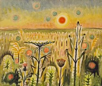 Sunspots Burchfield1951